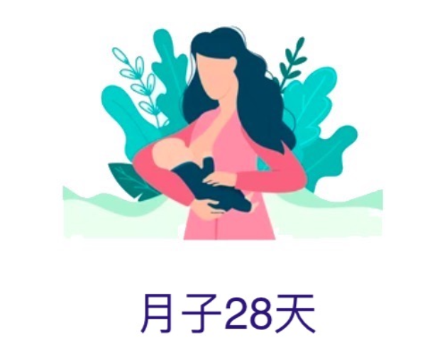 月子28天方案